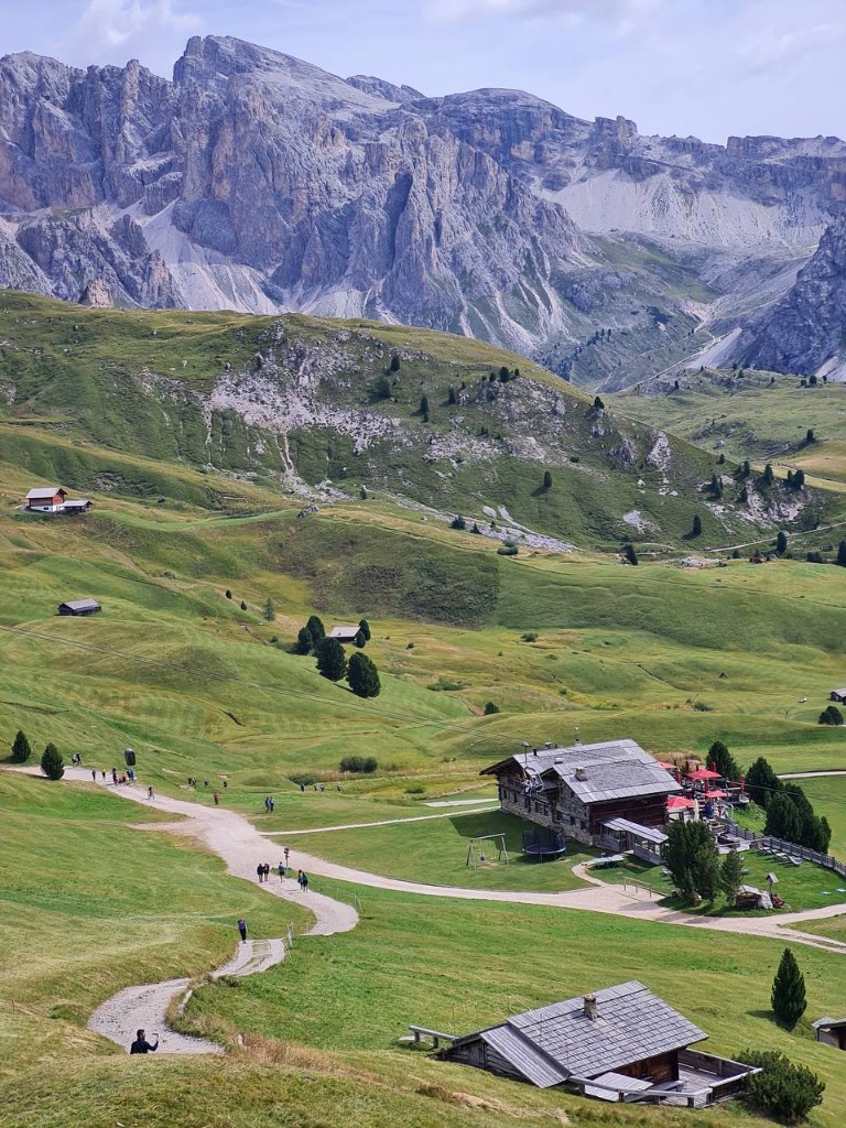 Горные луга