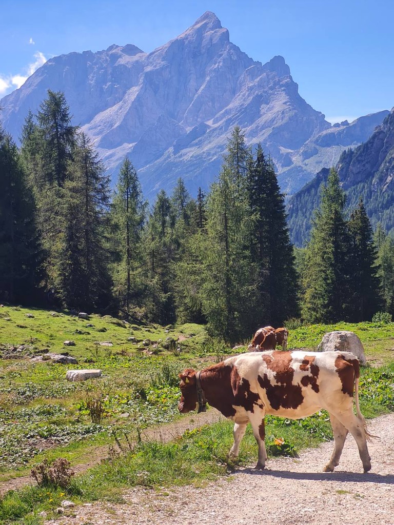 Горы и природа