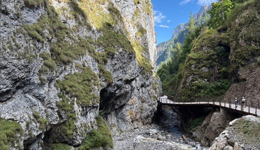 Каньон и тропа