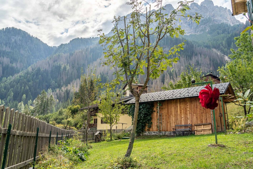 Дом и окрестности